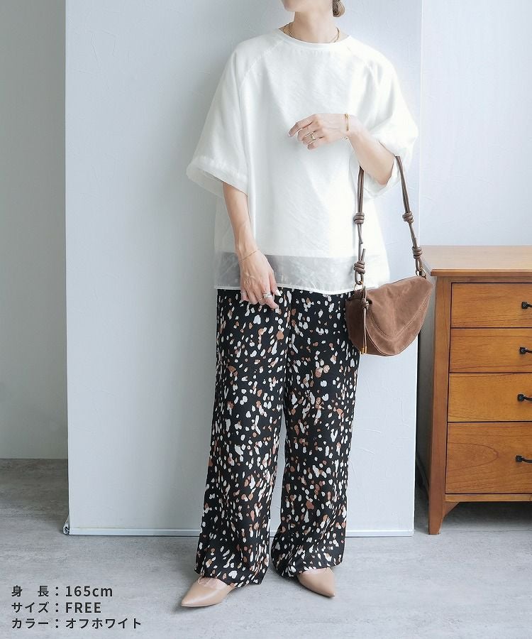 オーガンジー重ねラグラン半袖Tシャツ(day252630) ネコポス発送10