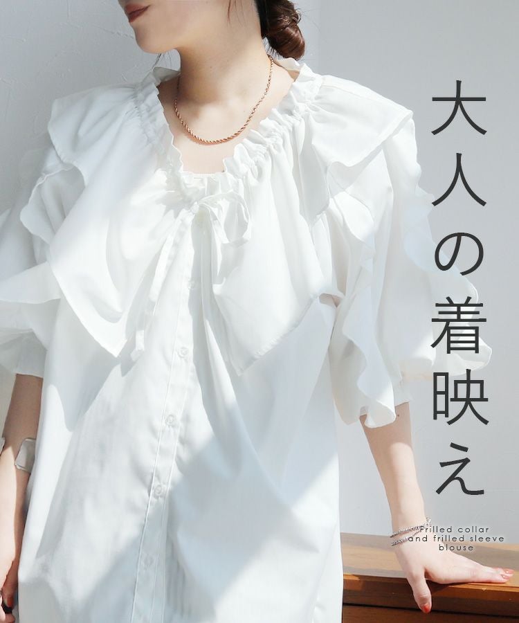 フリルカラー&フリルスリーブブラウス(y4459) ネコポス発送10 | reca