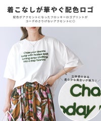 配色フロッキーロゴプリントBIGTシャツ(day256169) メール便発送10 - サムネイル4
