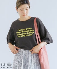 配色フロッキーロゴプリントBIGTシャツ(day256169) メール便発送10 - サムネイル19