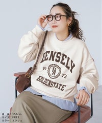 カレッジフロッキーロゴプリントスウェット(day256570)　メール便発送10 - サムネイル11